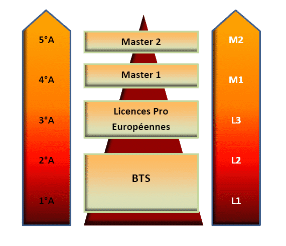 formations en école de commerce à Montpellier